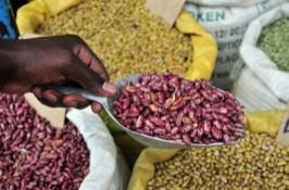 COVID-19 leads to African agricultural innovation